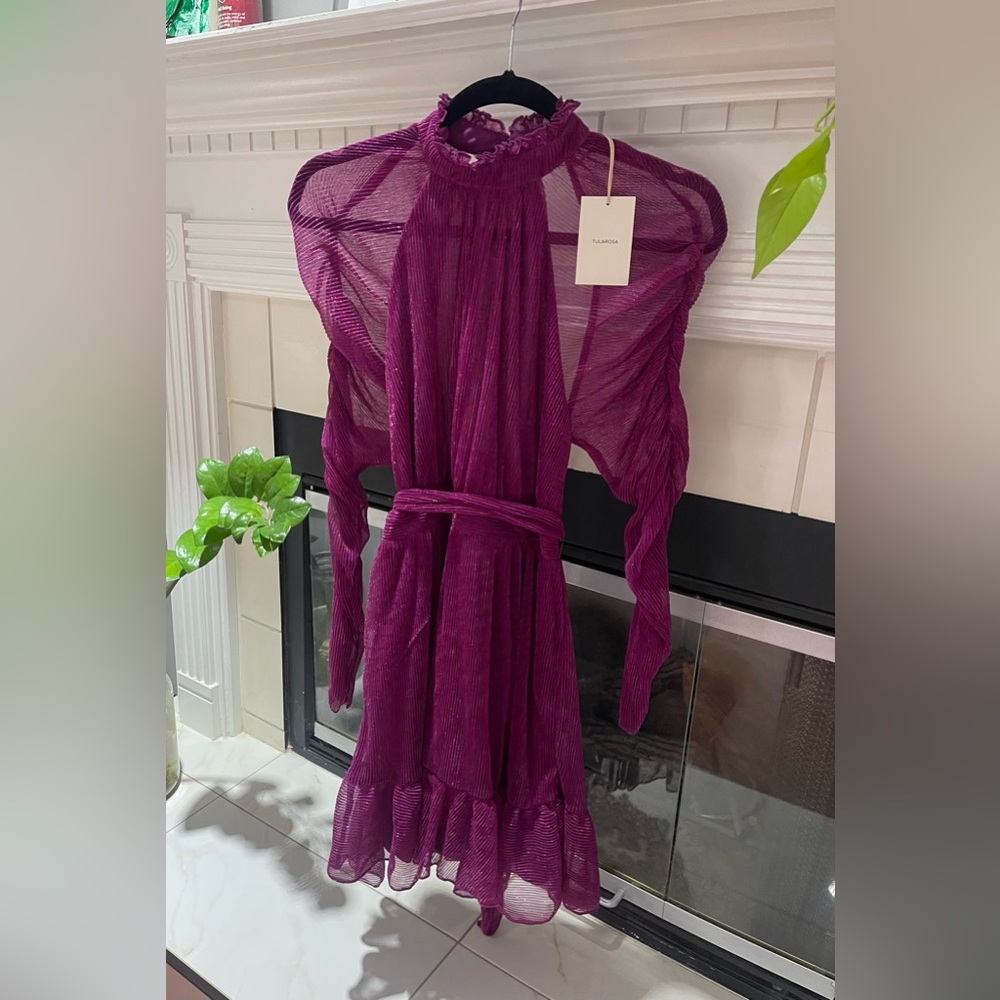 Tularosa Deep Fuchsia Long Sleeve Dress Julissa mini